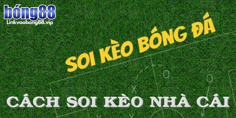 Cách soi kèo bóng đá nhà cái Bong88 theo đội chủ nhà